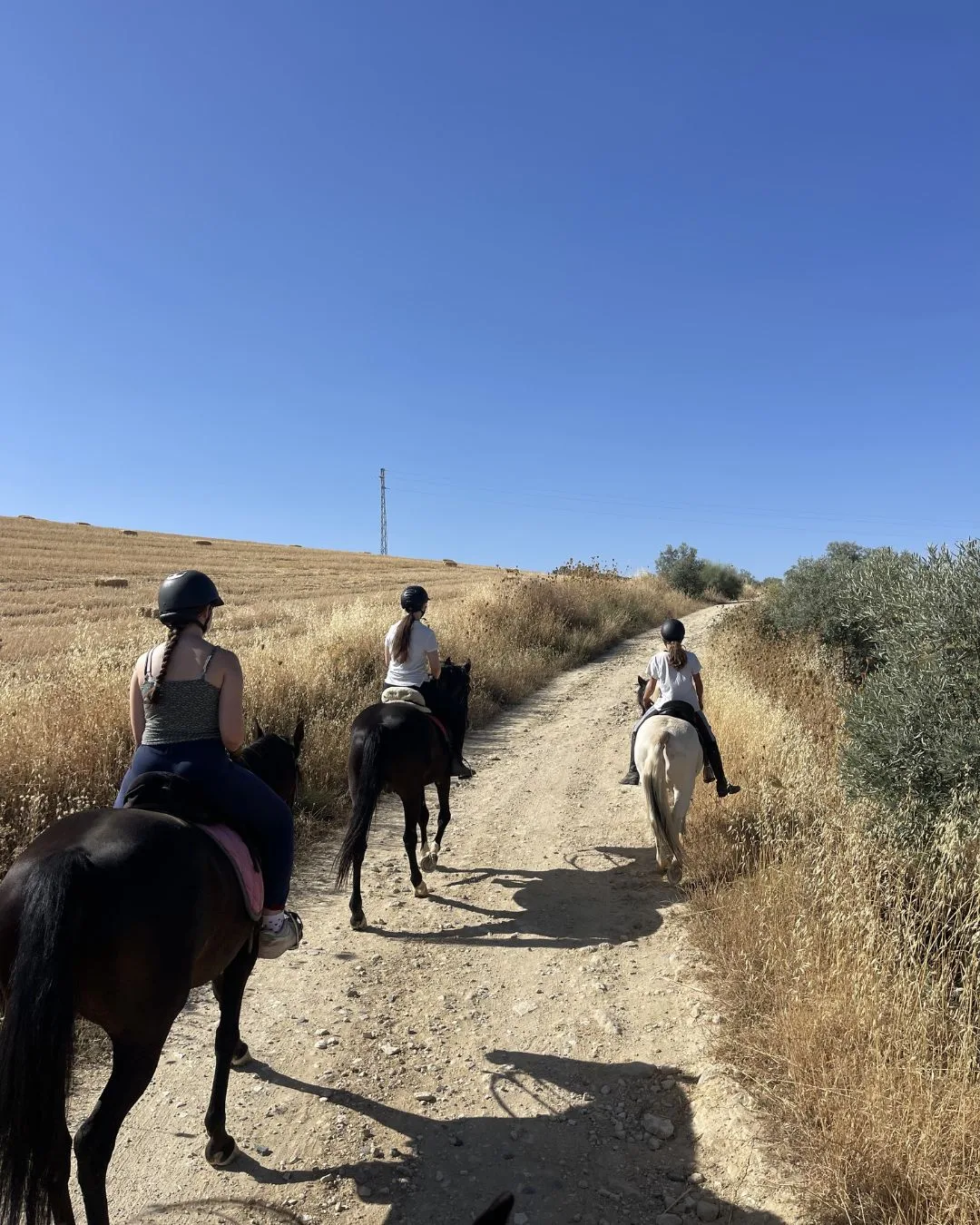 Full day horse ride near Ronda in Andalusia with picnic