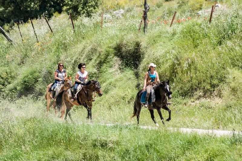 3-hour Bandits' Route ride near Ronda on historic smugglers' paths