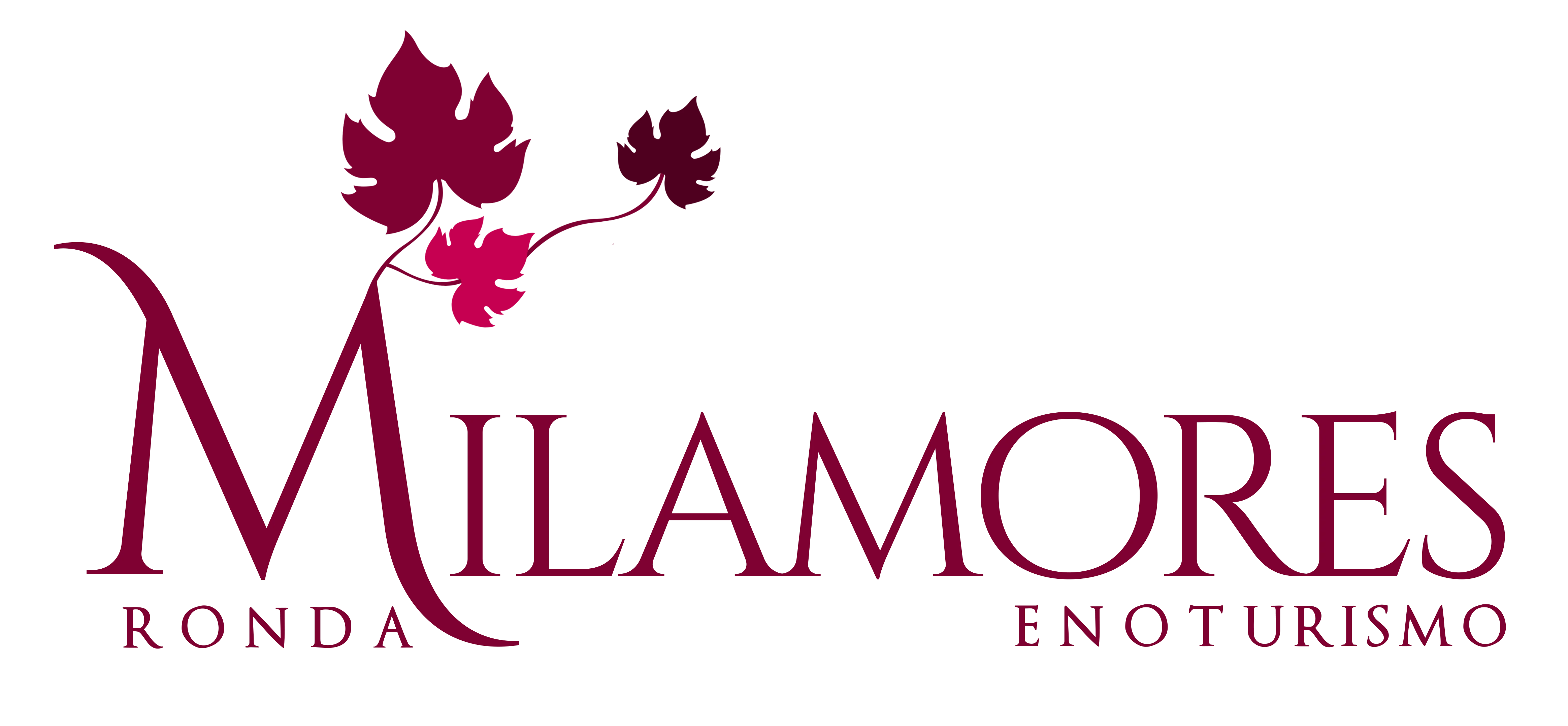 Mila Mores &ndash; Winery near Ronda, Andalusia