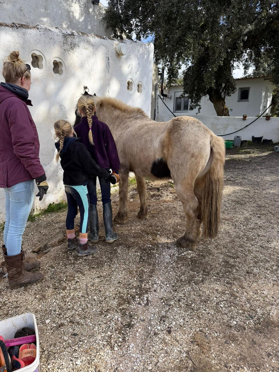 Child leading a horse at El Prado de Paez in Ronda