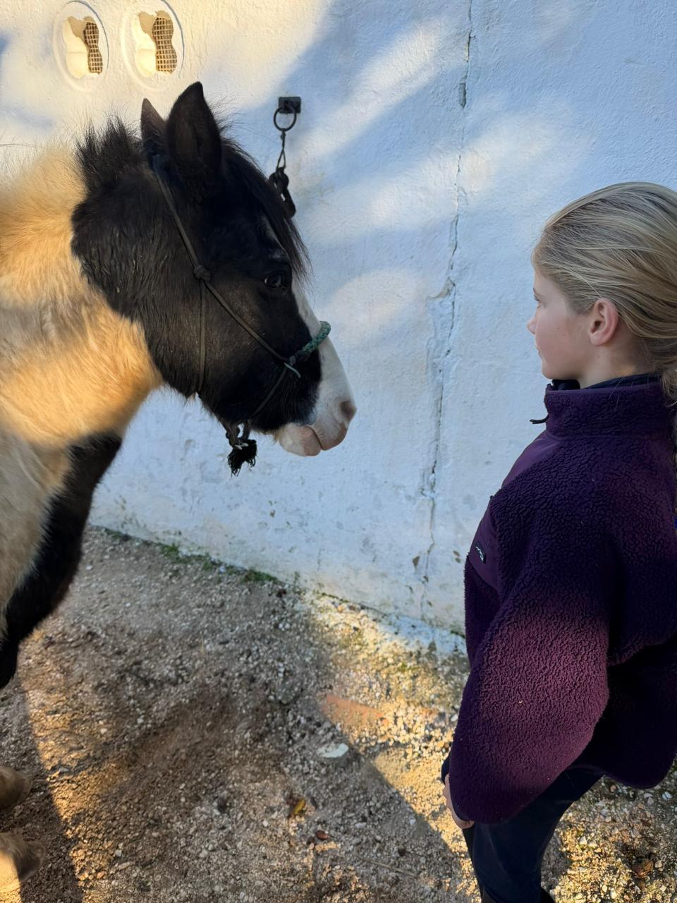 Child in quiet contact with a horse during nature-based work
